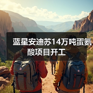蓝星安迪苏14万吨蛋氨酸项目开工（图3）