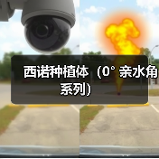 西诺种植体（0° 亲水角系列）（图3）