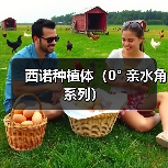 西诺种植体（0° 亲水角系列）（图2）