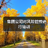 集团公司对风险管控进行培训（图1）