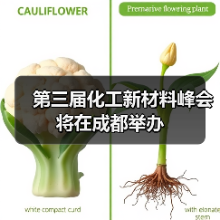 第三届化工新材料峰会将在成都举办（图2）