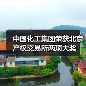 中国化工集团荣获北京产权交易所两项大奖（图1）
