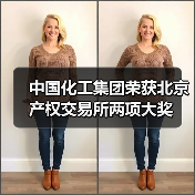 中国化工集团荣获北京产权交易所两项大奖（图2）
