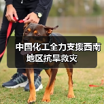 中国化工全力支援西南地区抗旱救灾（图1）