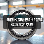 集团公司进行SHE管理体系学习交流（图2）