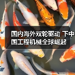 国内海外双轮驱动 下中国工程机械全球崛起(图2) 国内海外双轮驱动 下中国工程机械全球崛起(图2)