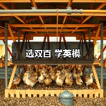 选双百 学英模（图1）