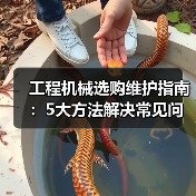 工程机械选购维护指南：5大方法解决常见问题（图2）