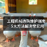 工程机械选购维护指南：5大方法解决常见问题（图3）