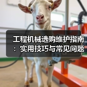 工程机械选购维护指南:实用技巧与常见问题解析2026(图3) 工程机械选购维护指南:实用技巧与常见问题解析2026(图3)
