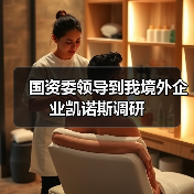 国资委领导到我境外企业凯诺斯调研(图1) 国资委领导到我境外企业凯诺斯调研(图1)