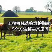 工程机械选购维护指南:5个方法解决常见问题(图1) 工程机械选购维护指南:5个方法解决常见问题(图1)