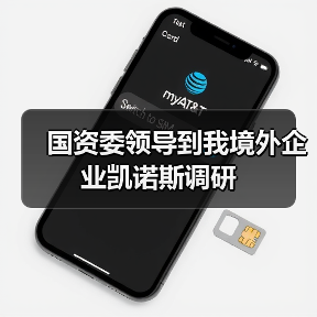 国资委领导到我境外企业凯诺斯调研(图3) 国资委领导到我境外企业凯诺斯调研(图3)