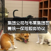 集团公司与韦莱集团签署统一保险服务协议（图4）