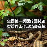 全国第一类医疗器械备案管理工作现场会在杭州召开(图1) 全国第一类医疗器械备案管理工作现场会在杭州召开(图1)
