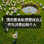 国资委表彰思想政治工作先进单位和个人(图4) 国资委表彰思想政治工作先进单位和个人(图4)