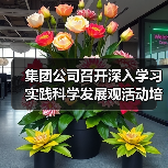 集团公司召开深入学习实践科学发展观活动培训会议(图3) 集团公司召开深入学习实践科学发展观活动培训会议(图3)