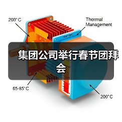集团公司举行春节团拜会（图3）