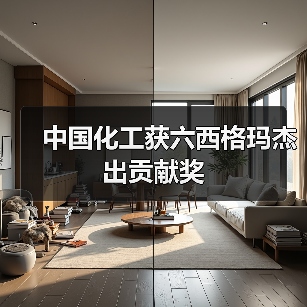 中国化工获六西格玛杰出贡献奖（图2）