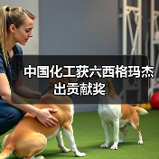 中国化工获六西格玛杰出贡献奖（图3）