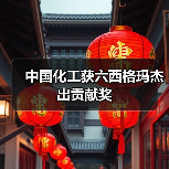 中国化工获六西格玛杰出贡献奖（图4）
