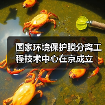 国家环境保护膜分离工程技术中心在京成立(图4) 国家环境保护膜分离工程技术中心在京成立(图4)