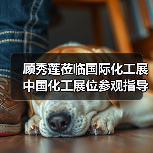 顾秀莲莅临国际化工展中国化工展位参观指导（图2）