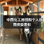中国化工班组和个人获国资委表彰(图4) 中国化工班组和个人获国资委表彰(图4)