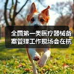 全国第一类医疗器械备案管理工作现场会在杭州召开（图4）