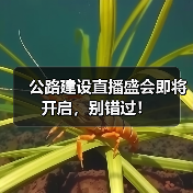公路建设直播盛会即将开启，别错过！（图2）