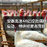 安徽高速48亿投资招标启动，特许经营者竞标机会来了！（图3）