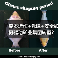 资本运作+党建+安全如何驱动矿业集团转型？（图2）