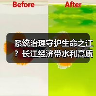 系统治理守护生命之江？长江经济带水利高质量发展路径（图3）
