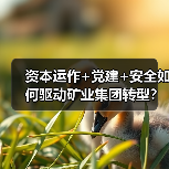 资本运作+党建+安全如何驱动矿业集团转型？（图4）