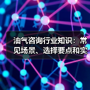 油气咨询行业知识:常见场景、选择要点和实用注意事项(图4) 油气咨询行业知识:常见场景、选择要点和实用注意事项(图4)