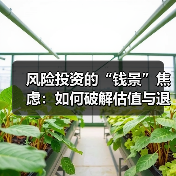 风险投资的“钱景”焦虑:如何破解估值与退出的双重困局?(图4) 风险投资的“钱景”焦虑:如何破解估值与退出的双重困局?(图4)