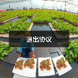 退出协议(图3) 退出协议(图3)